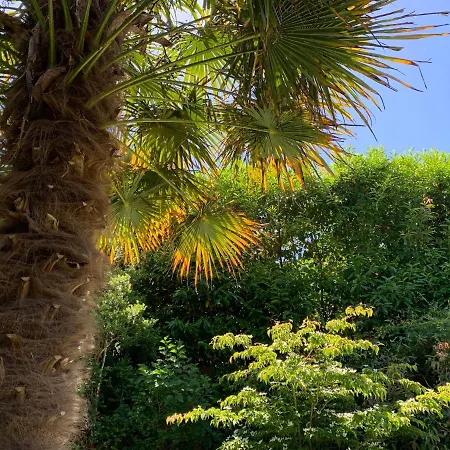 Semesterbostad La Flore Marine