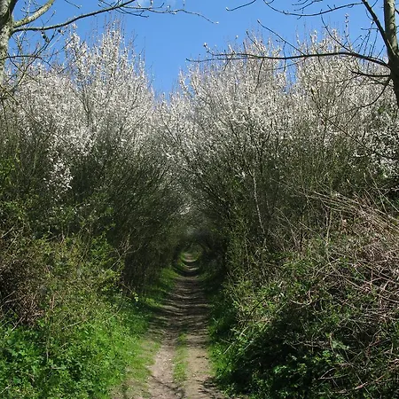 La Flore Marine Semesterbostad *