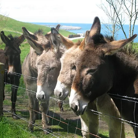La Flore Marine Semesterbostad Saint-Jouin-Bruneval