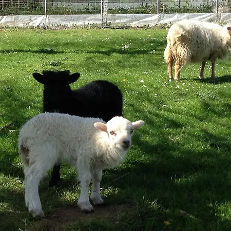 La Flore Marine Semesterbostad *