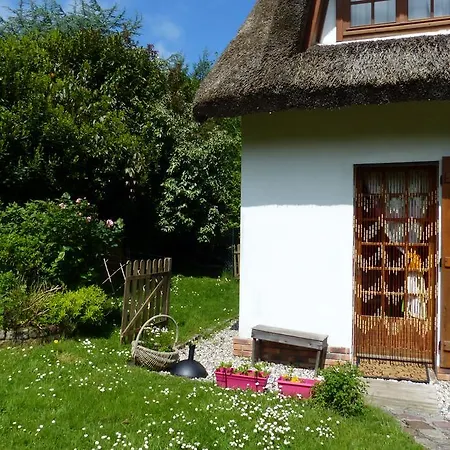 La Flore Marine Saint-Jouin-Bruneval